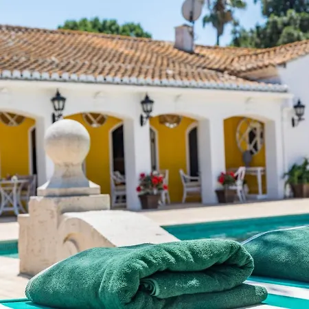 Maison San Alfredo B&B-3
