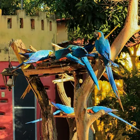 Pousada do Sol-2
