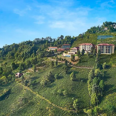 Taj Chia Kutir Resort & Spa Darjeeling-2