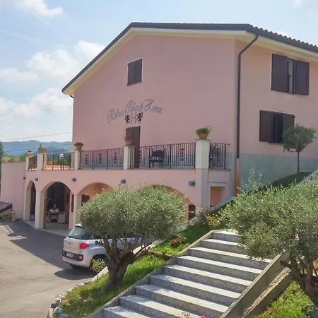 Relais Black Horse-2