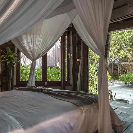 Delek Tulum-3