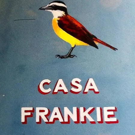 Casa Frankie-3