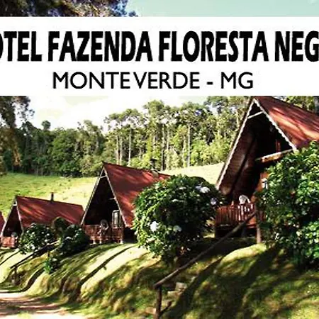 Hotel Fazenda Floresta Negra-3
