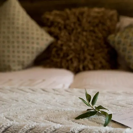 Olive Grove Guesthouse-3