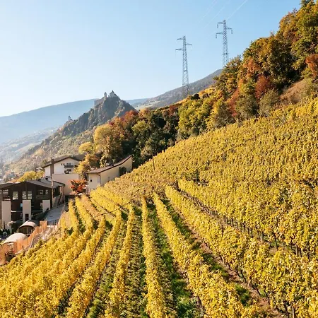 Weingut&Genusshotel Spitalerhof Superior-2
