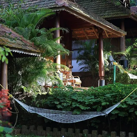 Somatheeram Ayurveda Village-3
