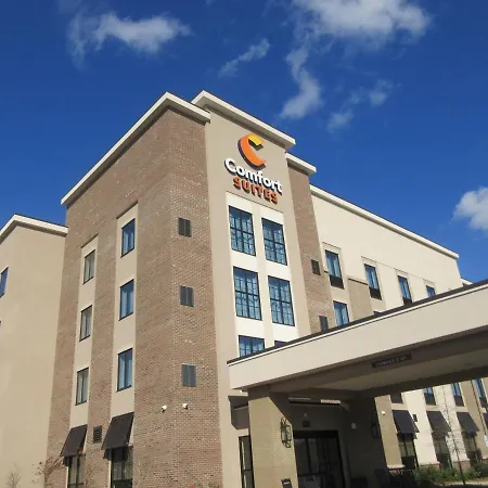Comfort Suites Summerville-3