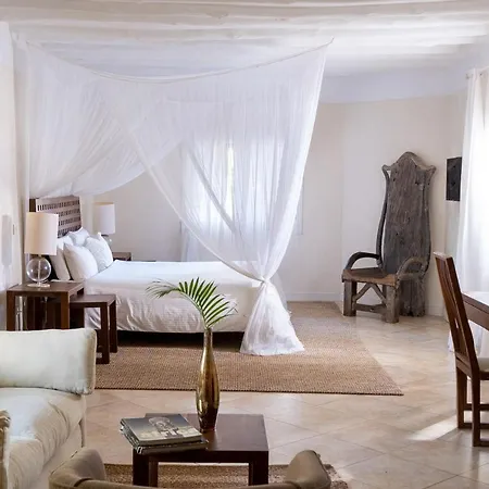 Lion In The Sun Boutique Hotel & Spa-2