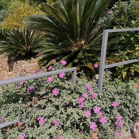 Oroverde-3