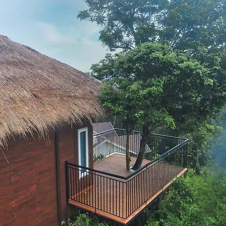 Jungle Bay Resorts & Spa-2