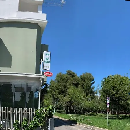 Hotel Nel Pineto-3