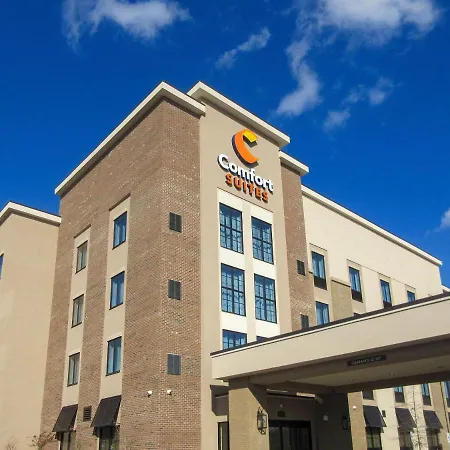 Comfort Suites Summerville-2