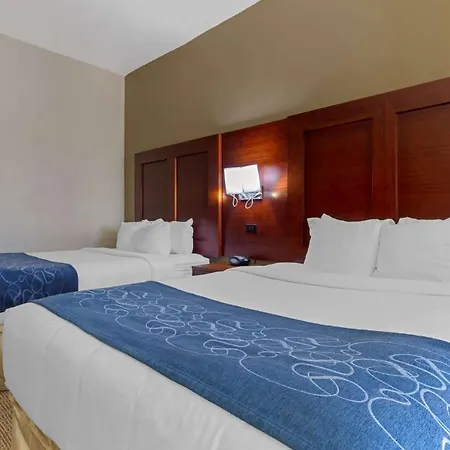 Comfort Suites Gainesville-2