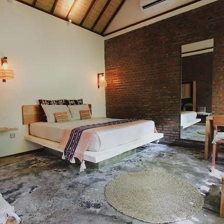 Tipsea Turtle Gili Air-3
