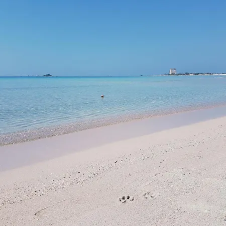 Hotel Posidonia-3