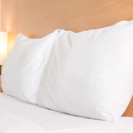 Holiday Inn Guadalajara Expo Plaza Del Sol By Ihg-2