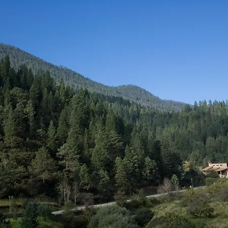 Bosques De Monterreal-3