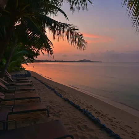 Paradise Beach Resort, Koh Samui - SHA Extra Plus-3