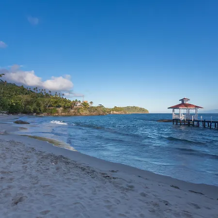 Bahia Principe Escape Samaná - Hyatt Inclusive Collection - Adults Only-3