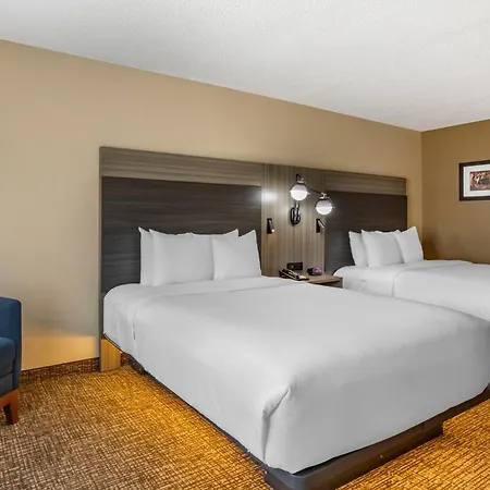 Comfort Inn & Suites North Dallas-Addison-3
