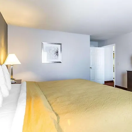 Quality Inn & Suites University-Airport-2