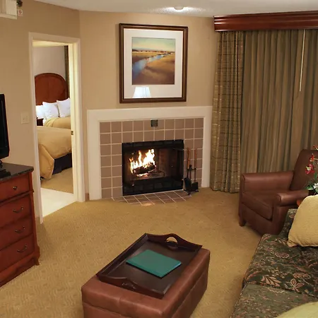 Homewood Suites By Hilton Dallas-Irving-Las Colinas-3