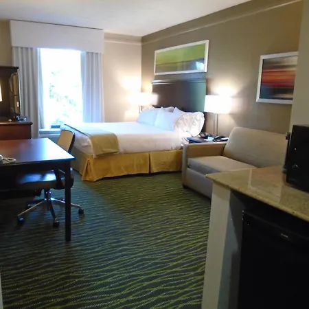 Holiday Inn Express Hotel & Suites Midlothian Turnpike By Ihg-3