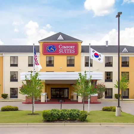 Comfort Suites Airport South-2
