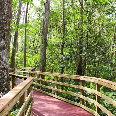 Parkway International Resort By Coolvacay-3