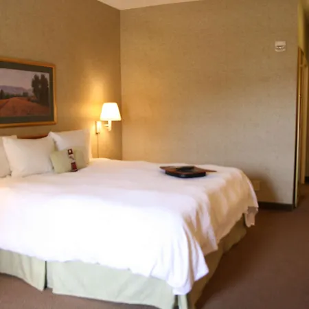 Hampton Inn & Suites Kalamazoo-Oshtemo-2