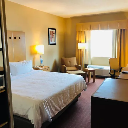 Holiday Inn Express Saltillo Zona Aeropuerto, an IHG Hotel-3