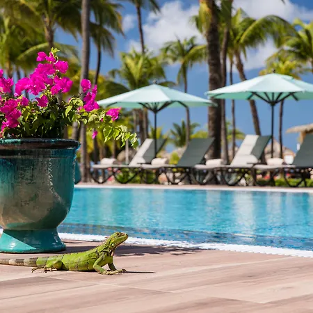Manchebo Beach Resort And Spa-2