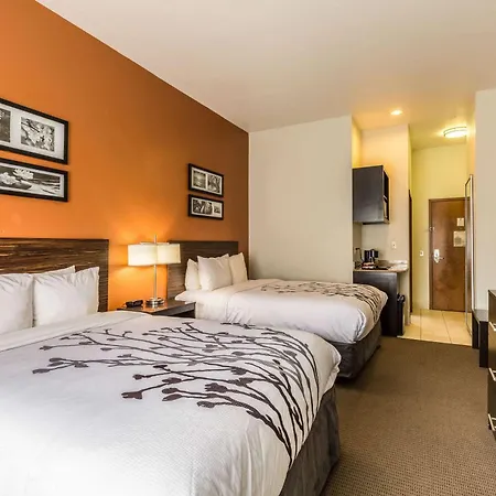 Sleep Inn & Suites Stafford - Sugarland-2