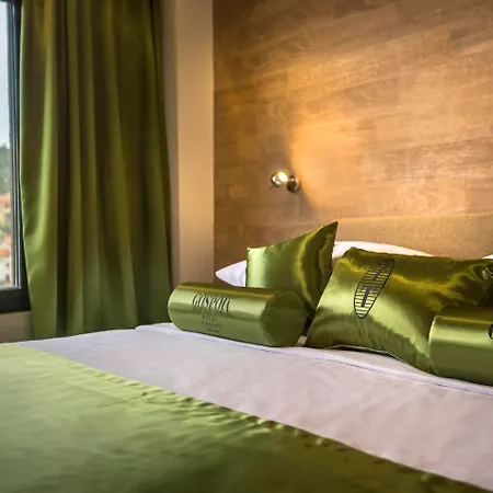 Hotel Vinotel Gospoja-3
