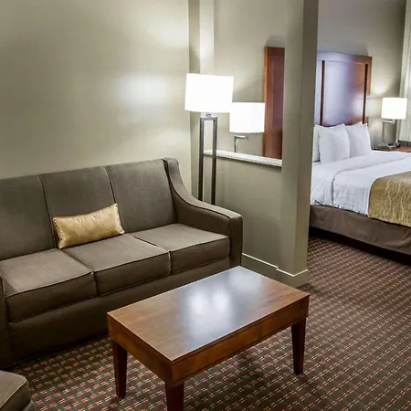 Comfort Inn & Suites Riverview Near Davenport And I-80-3
