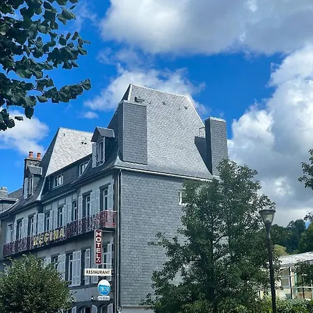Logis Hôtel Regina-2