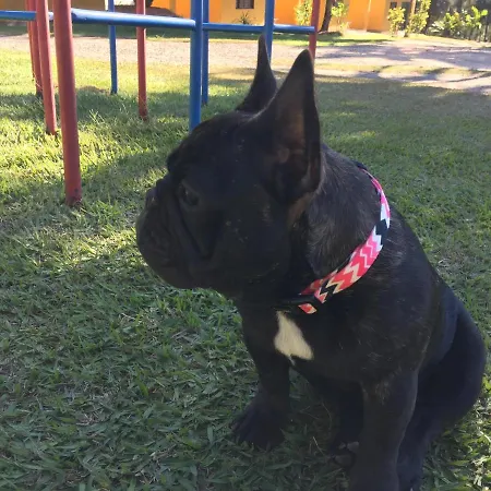 Pousada Paraiso-3