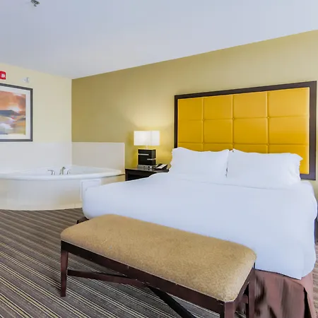 Holiday Inn Mobile Airport By Ihg-2