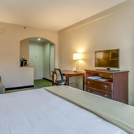 Holiday Inn Express Hotel & Suites Midlothian Turnpike By Ihg-2