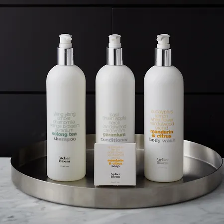 The Leta Santa Barbara Goleta, Tapestry Collection By Hilton-2