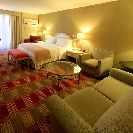 Holiday Inn Monclova By Ihg-2