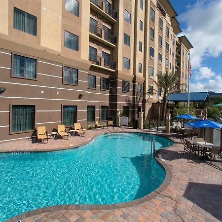 Staybridge Suites Orlando At Seaworld By Ihg - Free Breakfast & Shuttle To Seaworld Parks-2