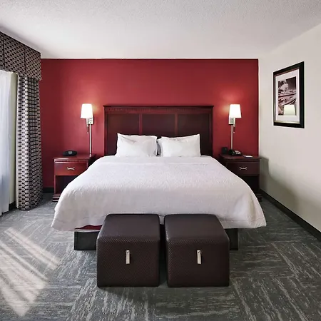 Hampton Inn & Suites Millington-3