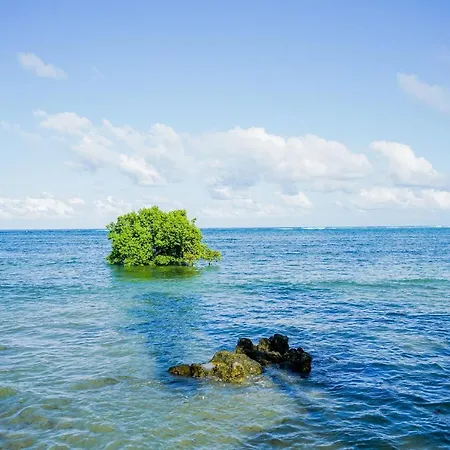 Woody'S Place Siargao-2