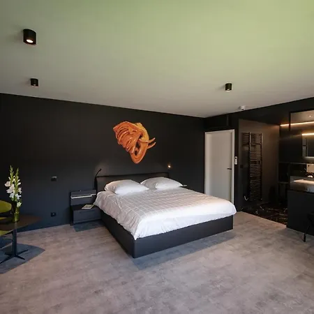 Les Thermes De Spa By La Cour De La Reine Hotel, Suites & Acces Gratuit Au Centre Thermal-2