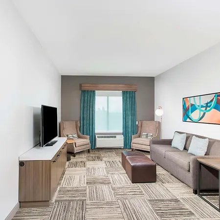 Hilton Garden Inn Harlingen Convention Center, Tx-3