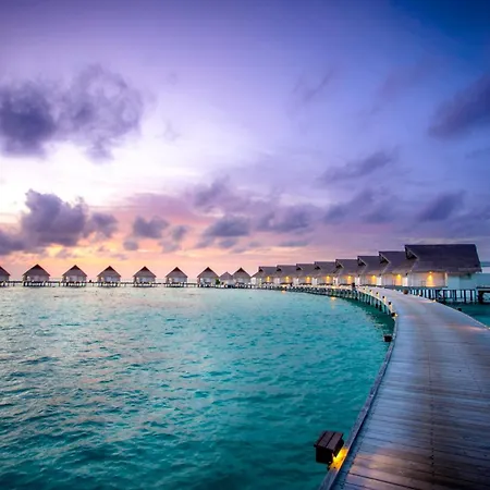 The Centara Collection, Machchafushi Island Resort & Spa Maldives - Stay 4 Nights Or More, Enjoy 25 Percent Off Seaplane Transfers, Valid For Stays From 10 Apr To Sep 2026-2