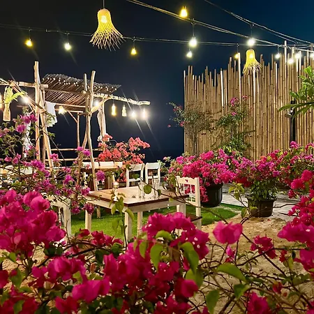 Mambo Beach Resort-2