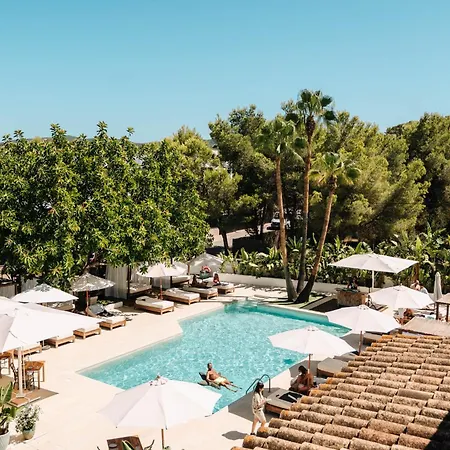Hotel Boutique & Spa Las Mimosas Ibiza (Adults Only)-2
