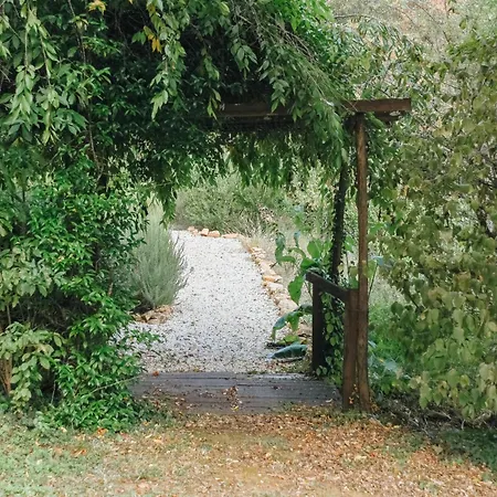 MAISON CISTUS - Maison d'hôtes de charme - Suites et gîte avec terrasses privées - Proche de Sarlat, au coeur de la Nature-3